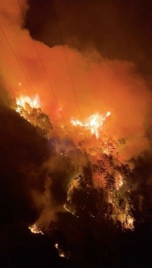 Alanya'da büyük orman yangını...